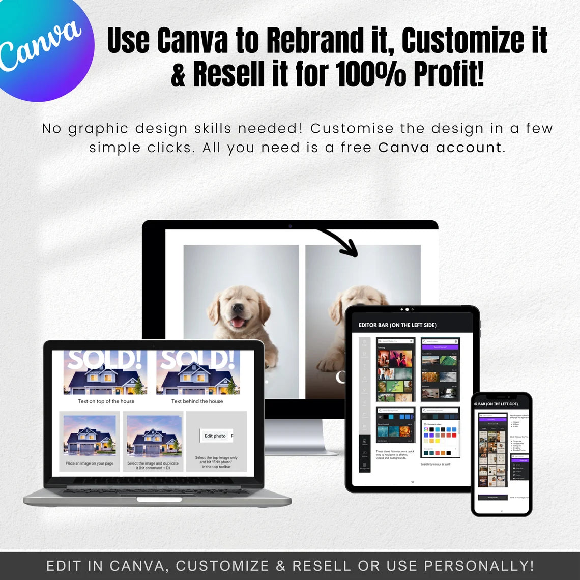 Canva Crash Course | How to Guide (PLR&MRR)