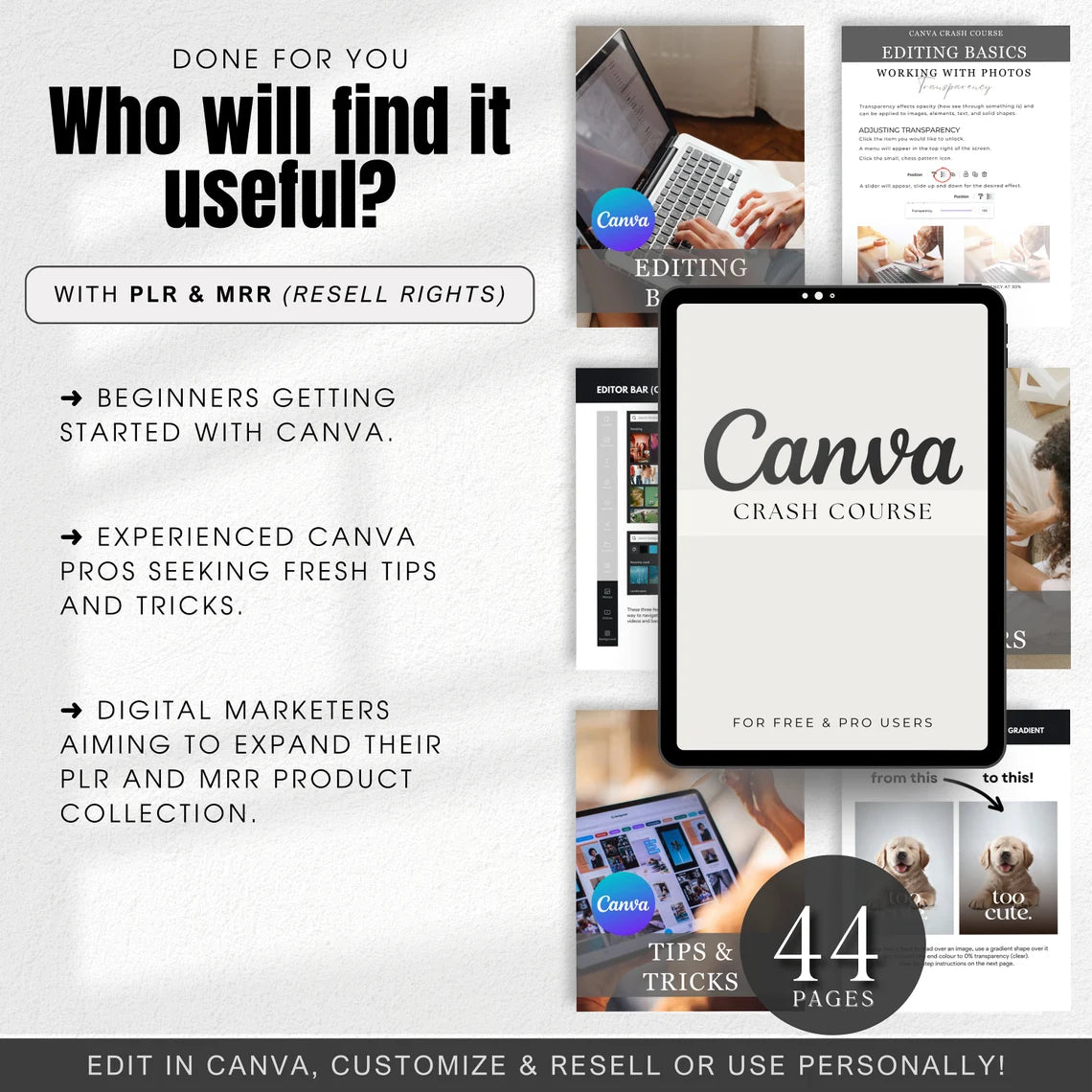 Canva Crash Course | How to Guide (PLR&MRR)