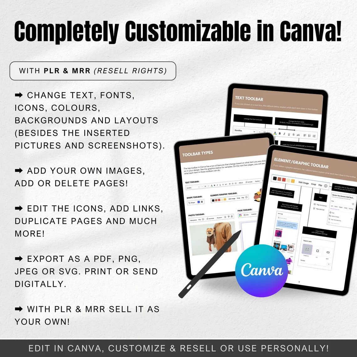 Canva Crash Course | How to Guide (PLR&MRR)