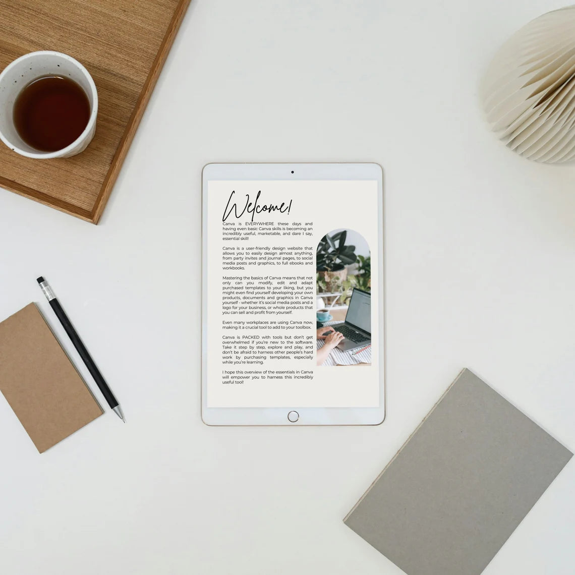 Canva Crash Course | How to Guide (PLR&MRR)