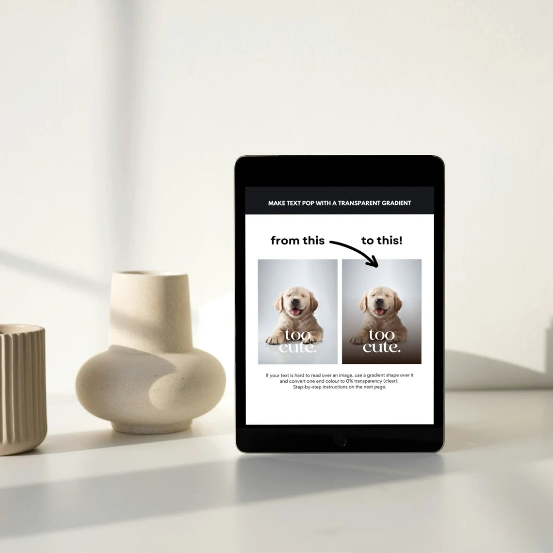 Canva Crash Course | How to Guide (PLR&MRR)